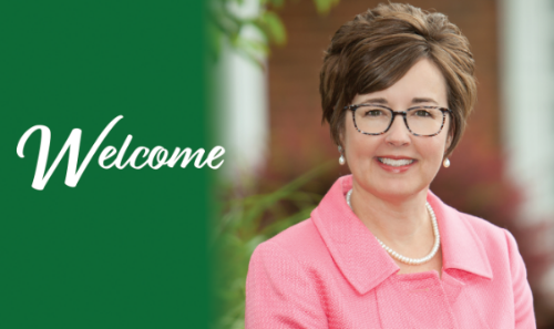 Ann Harings, Business Development
